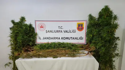Şanlıurfa’da büyük operasyon: 15 şüpheli
