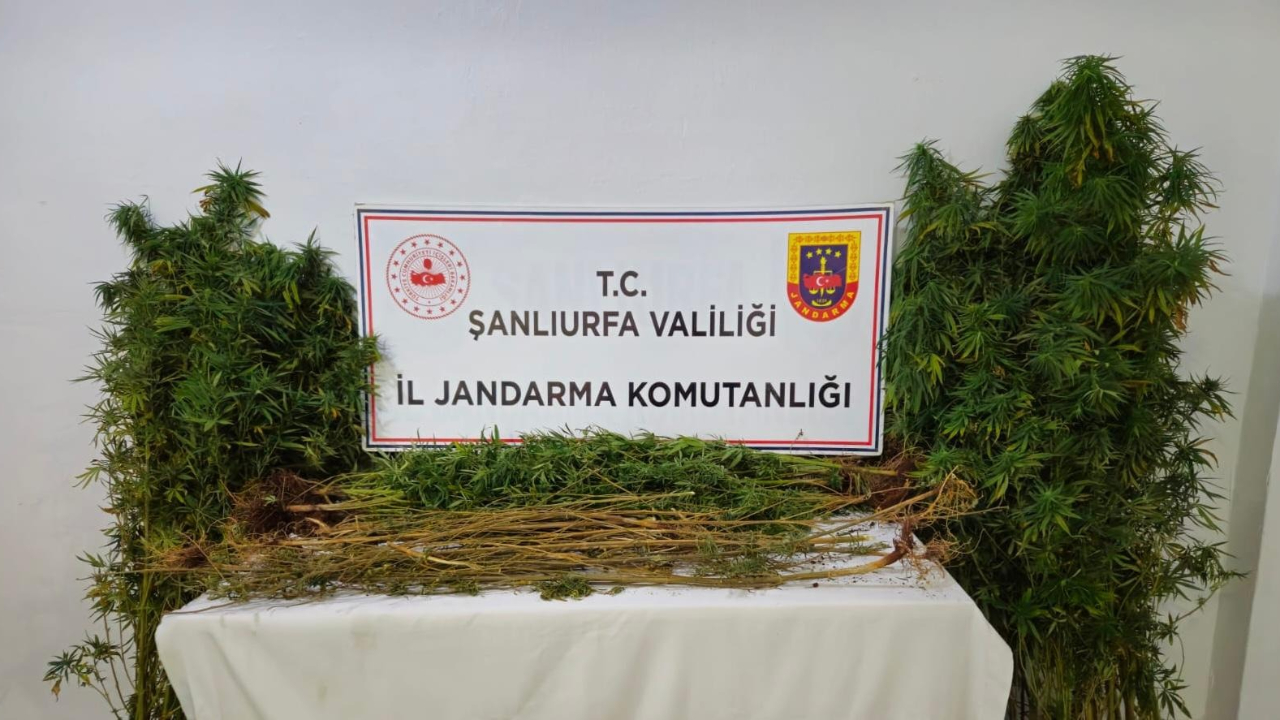 Şanlıurfa’da büyük operasyon: 15 şüpheli