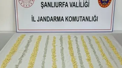 MİT tespit etti, jandarma operasyon düzenledi