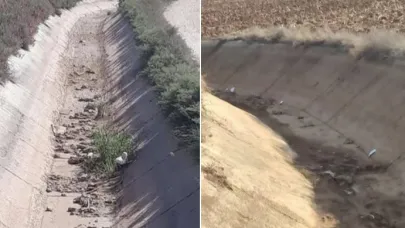 Çiftçiler ‘ha ho’ çekiyor: Bu sulama kanallarında sular kesildi !