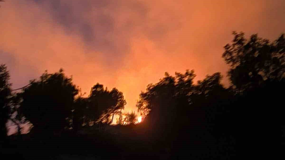 Ormanlık alanda çıkan yangın söndürüldü