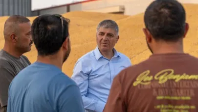 Mısırda 1 milyon 135 bin ton rekolte bekleniyor