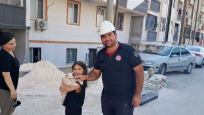 Urfa İtfaiyesi, mahsur kalan kedinin yardımına yetişti (VİDEO)