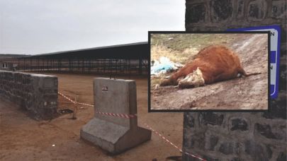 ŞANLIURFA'DA YASAK DEVAM EDİYOR