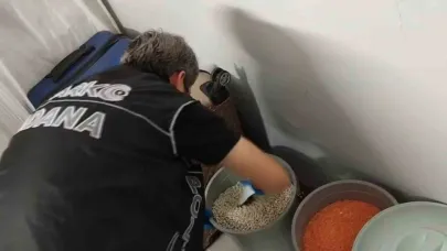 Fasulye kovasında "bonzai zulası" : 6 tutuklama