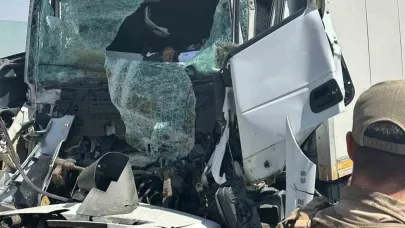 Feci kaza: 1 ölü