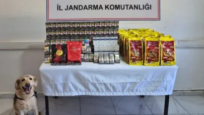 Şanlıurfa’da kaçakçılara geçit yok !