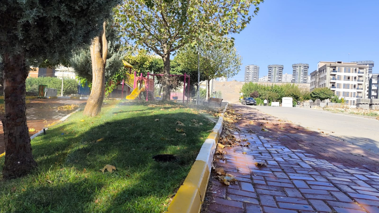 Şanlıurfa'da çınar ağaçları kansere mi yakalandı?