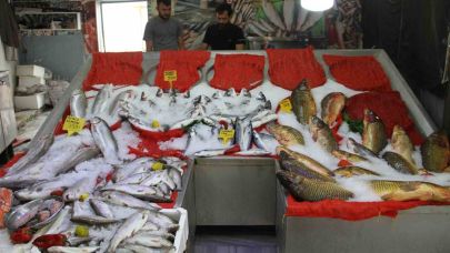 Esnafta ‘balık sezonu’ hazırlığı