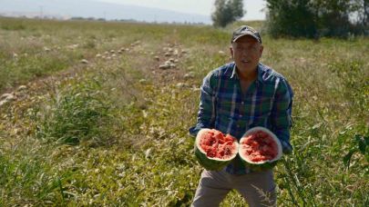Sözleşmeli ekti 3 bin 500 ton karpuzu tarlada kaldı