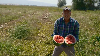 Sözleşmeli ekti 3 bin 500 ton karpuzu tarlada kaldı