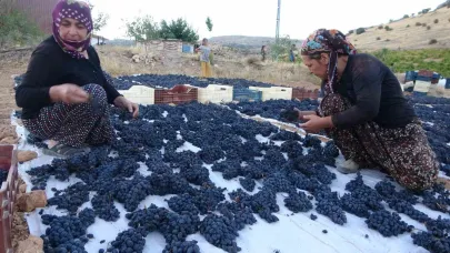 Kilosu 500 TL’den alıcı bulan kuru üzüm yüz güldürüyor