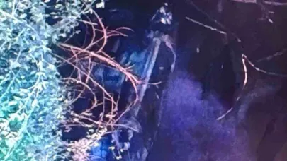 Şarampole yuvarlanan araç alev aldı: 1 yaralı