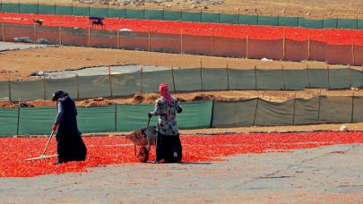Sağlık Müdürlüğü’nden mevsimlik işçilere hizmet