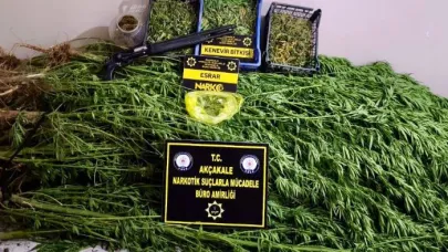 Akçakale’de uyuşturucu operasyonu