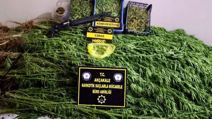 Akçakale’de uyuşturucu operasyonu