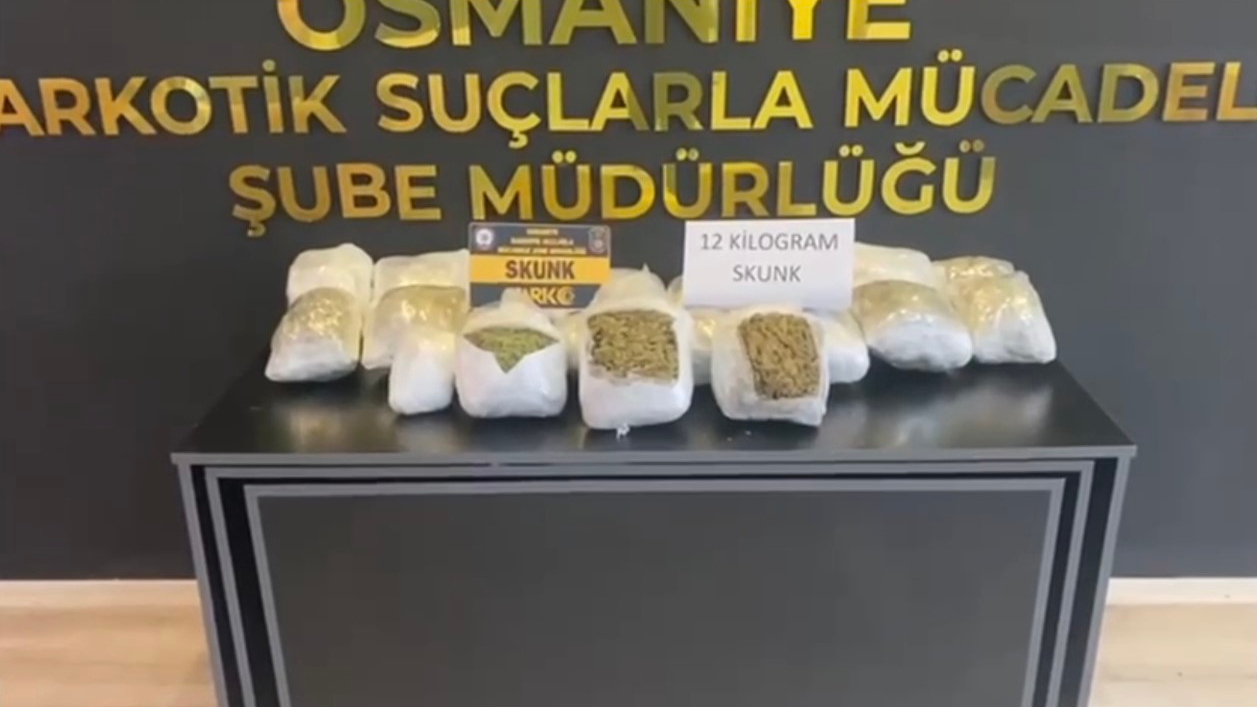 Hafif ticari araçta 12 kilo skunk ele geçirildi
