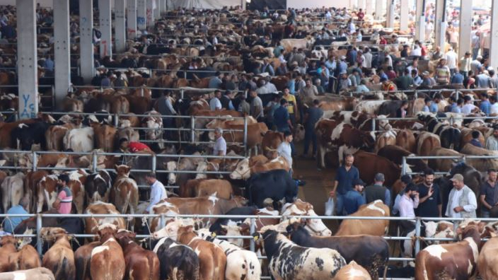 Şanlıurfa'da hayvan pazarları ne zaman açılacak?