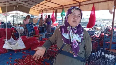 İsot üreten kadınlar Şanlıurfalılardan destek bekliyor (VİDEO)