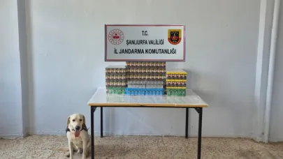 7 bin 777 paket gümrük kaçağı sigara ele geçirildi
