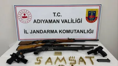Silah kaçakçılığı operasyonu: 1 gözaltı