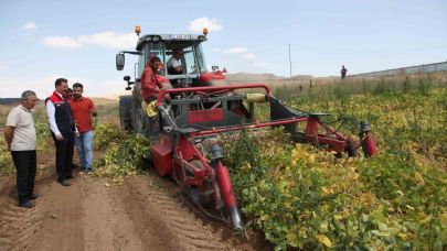110 bin dekar alana ekilen kuru fasulyenin hasadına başlandı