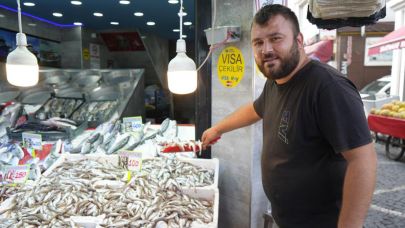Hamsi için geri sayım başladı: Balıkçılar yolunu gözlüyor