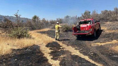 Çıkan orman yangını söndürüldü
