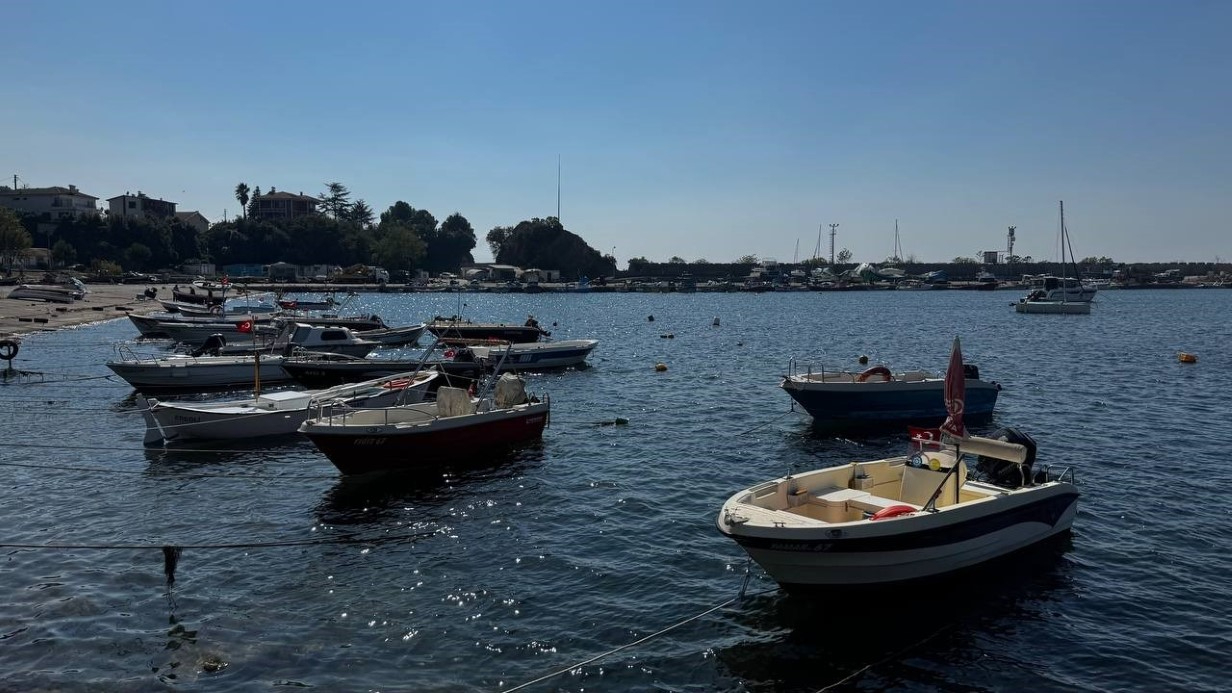 Bu yıl hamsi beklentisi büyük