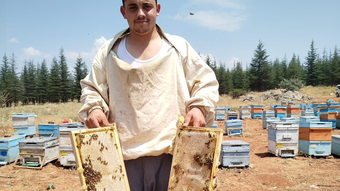 Bilgisayar programcısı genç, sevdiği baba mesleği arıcılığı tercih etti