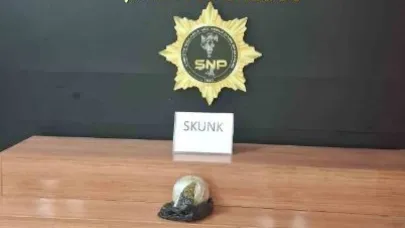 Şanlıurfa'da yolcunun çantasından uyuşturucu çıktı