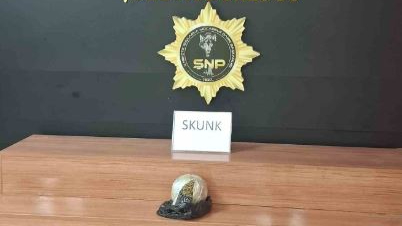 Şanlıurfa'da yolcunun çantasından uyuşturucu çıktı