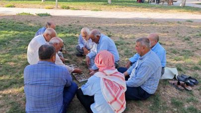 Şanlıurfa’da binlerce yıllık zeka oyunu