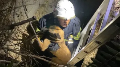 Kuyuya düşen köpeği itfaiye kurtardı