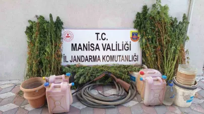 Yasa dışı kenevir eken şahıs tutuklandı