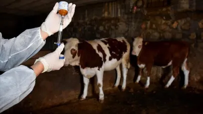 Şap, Ceylanpınar TİGEM'e mi yayıldı?