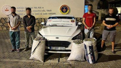 Hırsızlık şüphelisi 24 şahıs yakalandı