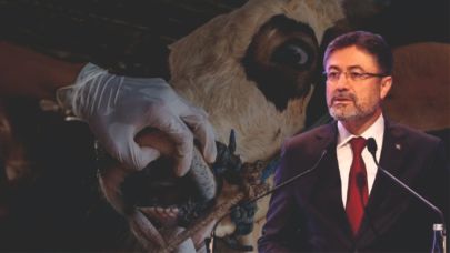 Bakandan Şap açıklaması... Şanlıurfa için yine tarih yok