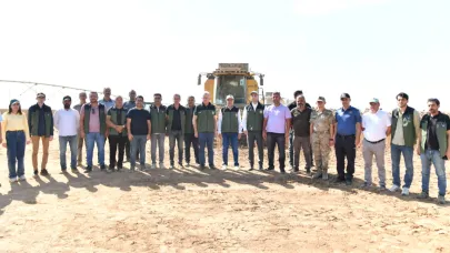 Vali Şıldak, Ceylanpınar'da ayçiçeği hasadına katıldı