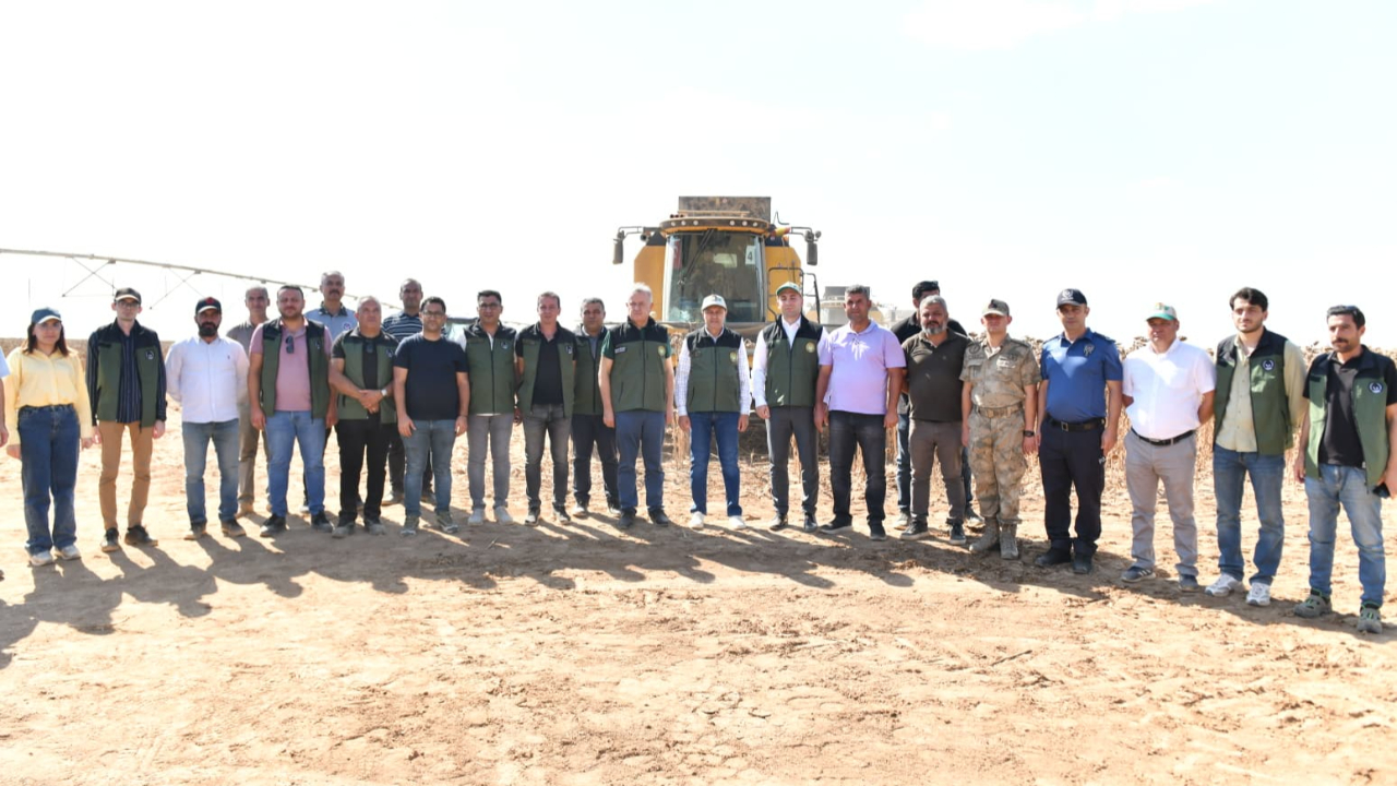 Vali Şıldak, Ceylanpınar'da ayçiçeği hasadına katıldı
