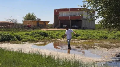Şanlıurfa’da yükselen taban suyu ev ve tarlaları yuttu