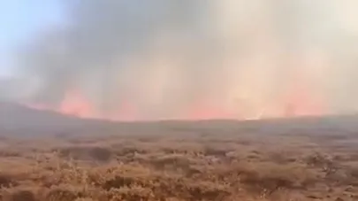 Siverek Karacadağ’da yangın