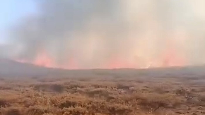Siverek Karacadağ’da yangın