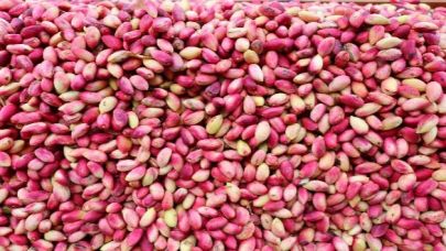 Şanlıurfa’da fıstığ cep yakıyor: Vatandaş için fıstık yemek artık hayal oldu