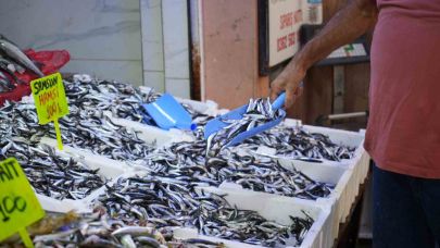Karadeniz’in incisi hamsi tezgahlarda: Ne alırsan 100 TL