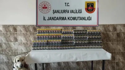Şanlıurfa’da 420 paket gümrük kaçağı sigara ele geçirildi