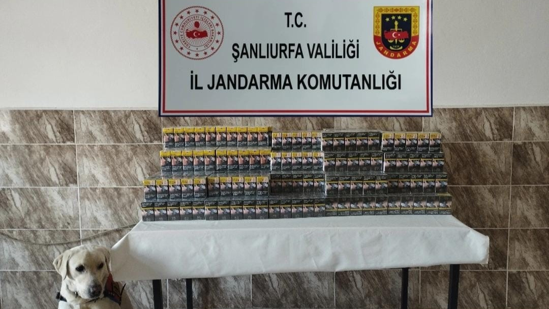 Şanlıurfa’da 420 paket gümrük kaçağı sigara ele geçirildi