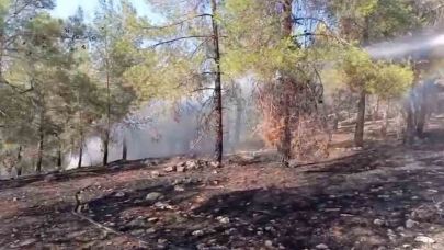 Karaköprü'de ormanlık alan yandı