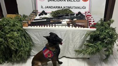 Harran'da uyuşturucu operasyonu: 3 gözaltı