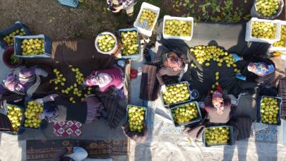 Tarım-ÜFE yıllık yüzde 41,55 arttı